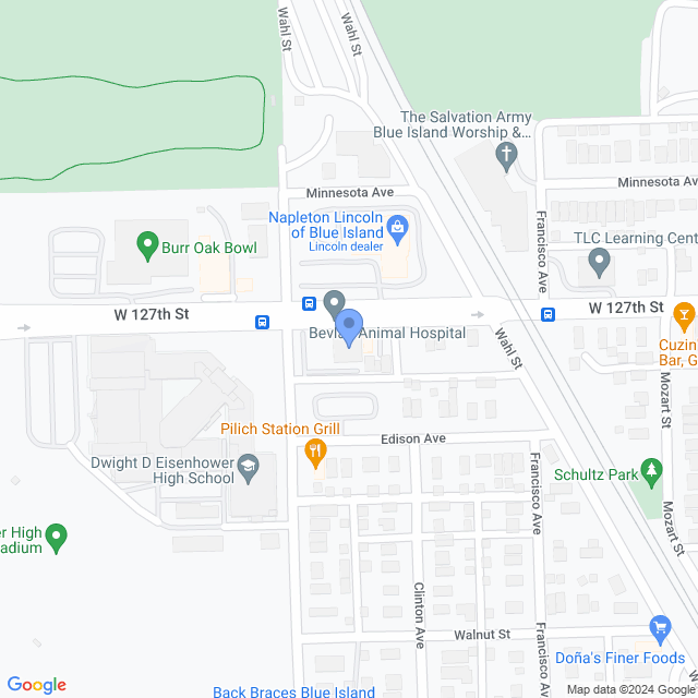 Map of veterinarians in Blue Island, IL