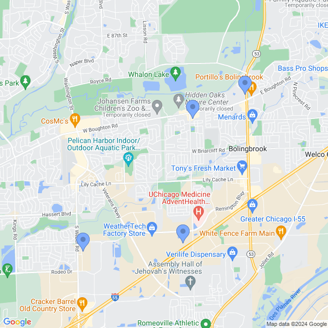 Map of veterinarians in Bolingbrook, IL