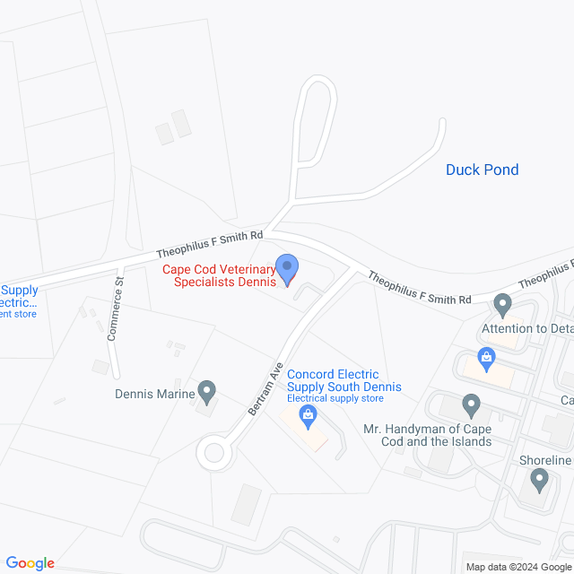 Map of veterinarians in South Dennis, MA