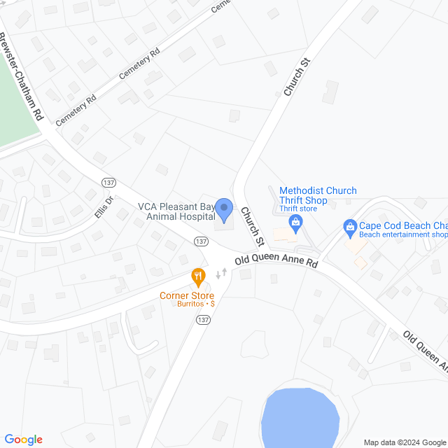 Map of veterinarians in East Harwich, MA
