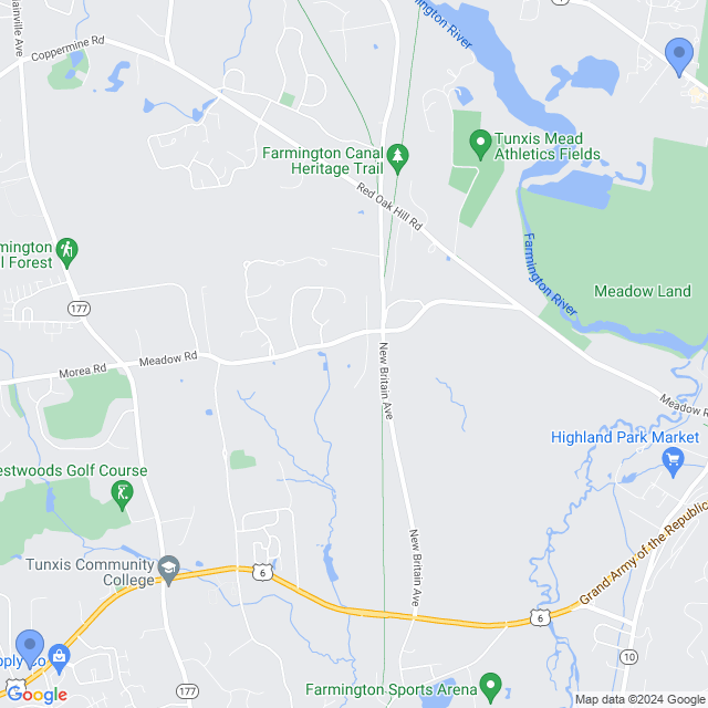 Map of veterinarians in Farmington, CT