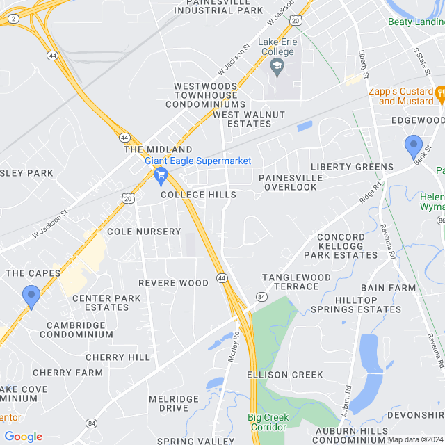 Map of veterinarians in Painesville, OH