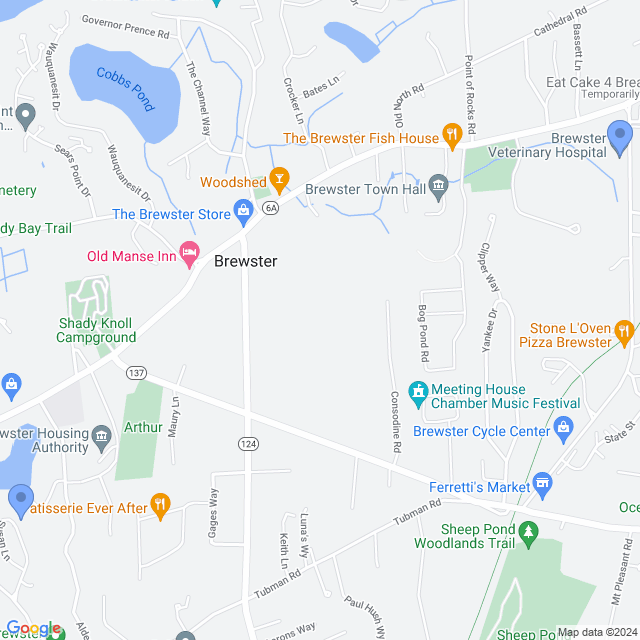 Map of veterinarians in Brewster, MA