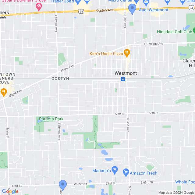 Map of veterinarians in Westmont, IL