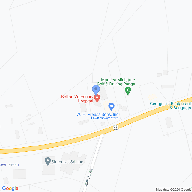 Map of veterinarians in Bolton, CT