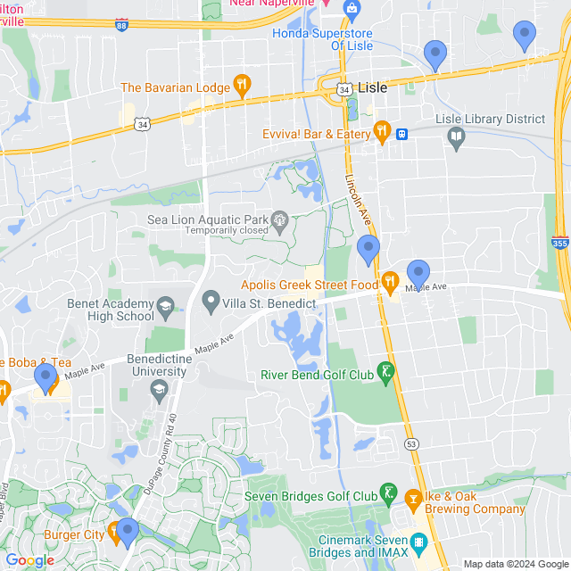 Map of veterinarians in Lisle, IL