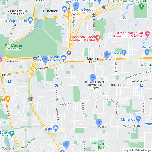 Map of veterinarians in Downers Grove, IL