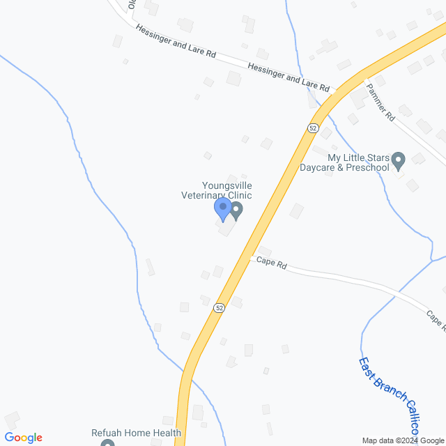 Map of veterinarians in Youngsville, NY