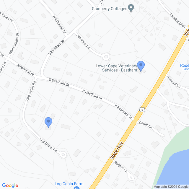 Map of veterinarians in Eastham, MA