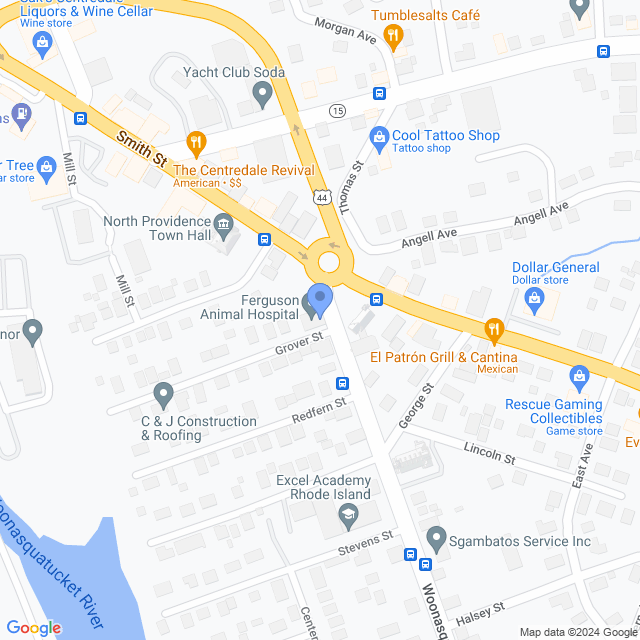 Map of veterinarians in North Providence, RI