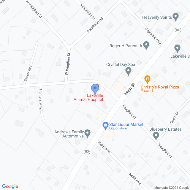 Map of veterinarians in Lakeville, MA