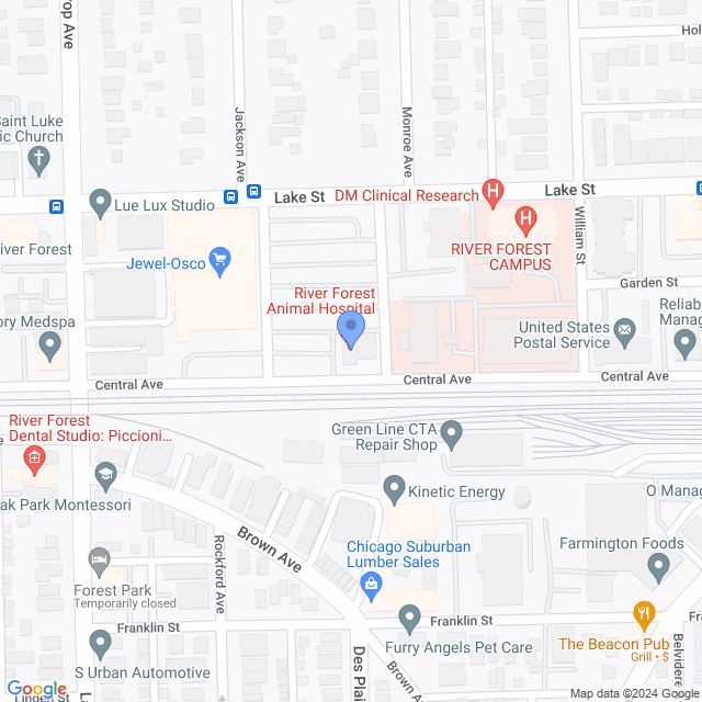 Map of veterinarians in River Forest, IL