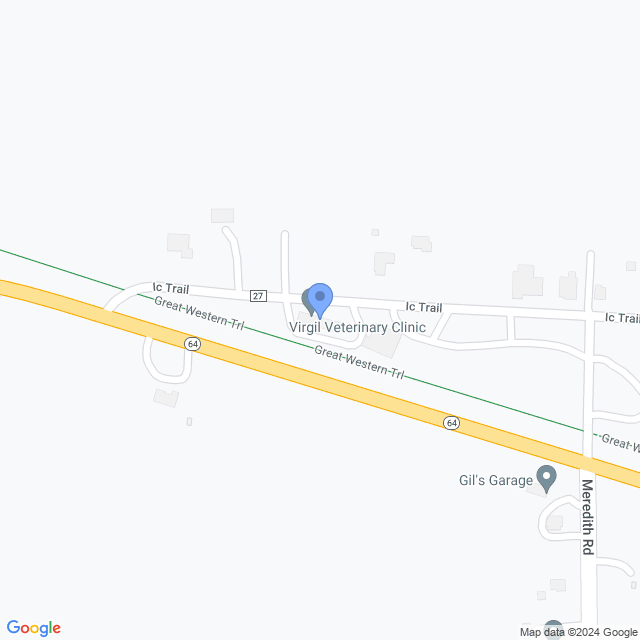 Map of veterinarians in Virgil, IL
