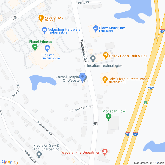 Map of veterinarians in Webster, MA