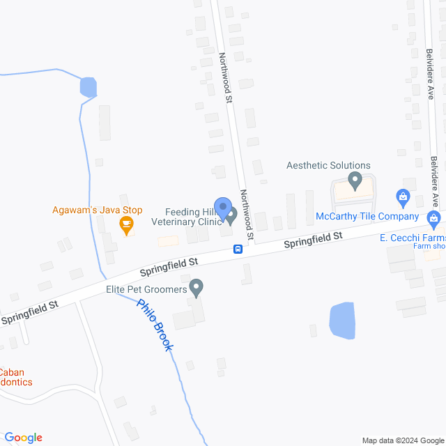 Map of veterinarians in Feeding Hills, MA