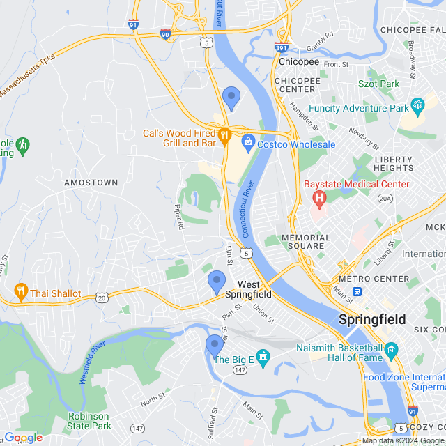 Map of veterinarians in West Springfield, MA