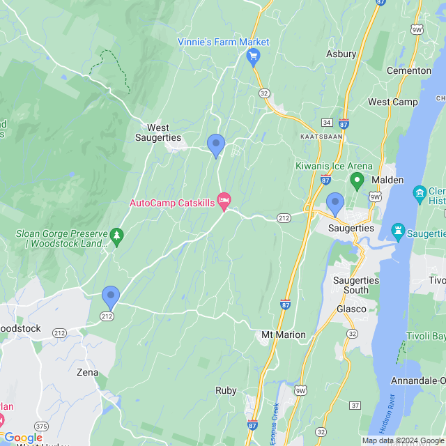 Map of veterinarians in Saugerties, NY