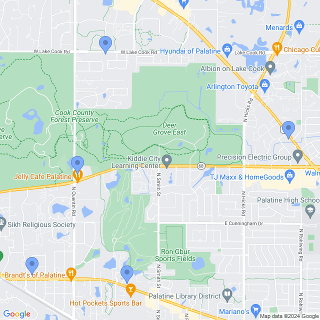 Map of veterinarians in Palatine, IL