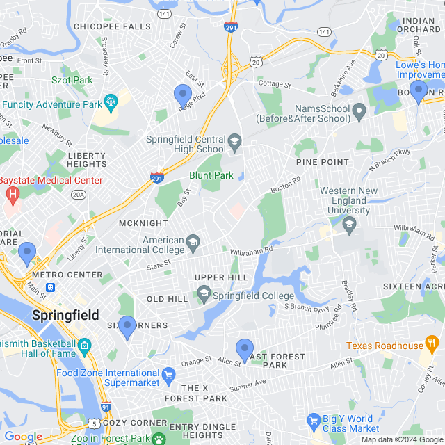 Map of veterinarians in Springfield, MA