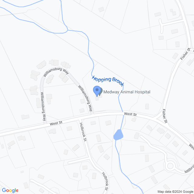 Map of veterinarians in Medway, MA