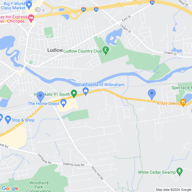 Map of veterinarians in Wilbraham, MA