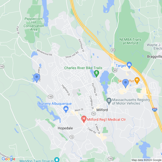 Map of veterinarians in Milford, MA
