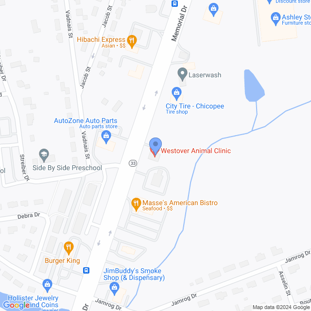 Map of veterinarians in Chicopee, MA