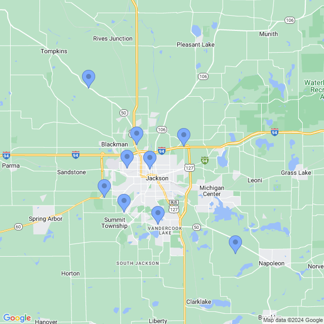 Map of veterinarians in Jackson, MI