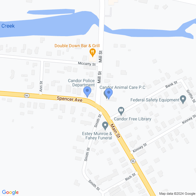 Map of veterinarians in Candor, NY