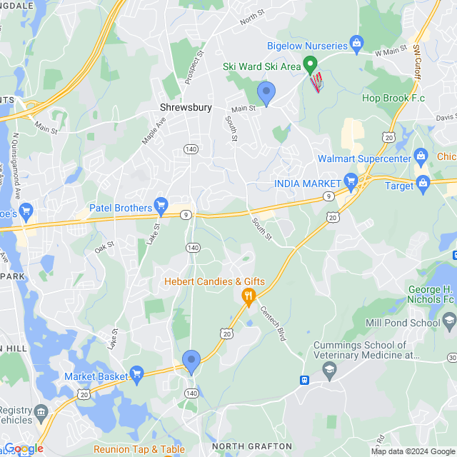 Map of veterinarians in Shrewsbury, MA