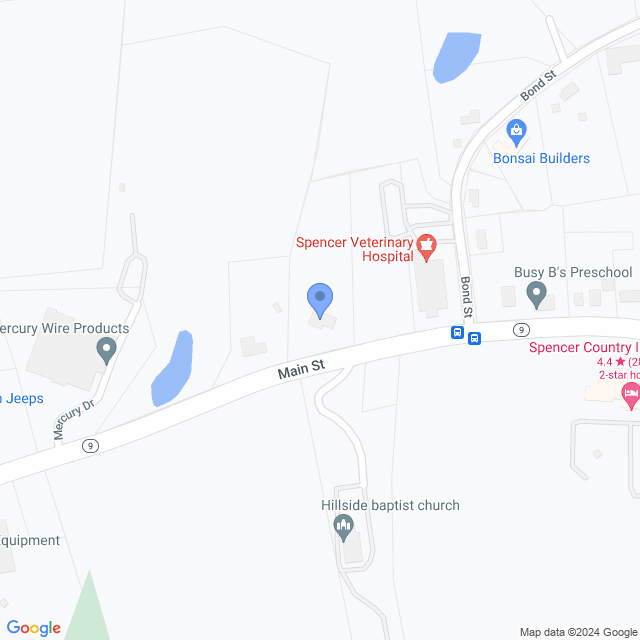 Map of veterinarians in Spencer, MA