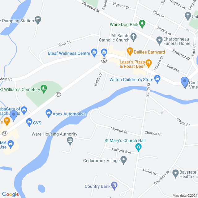 Map of veterinarians in Ware, MA