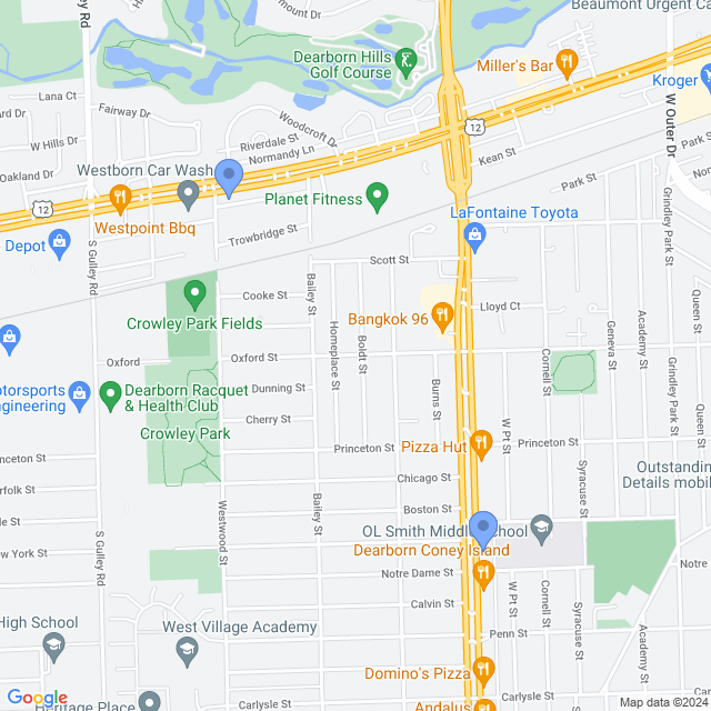 Map of veterinarians in Dearborn, MI