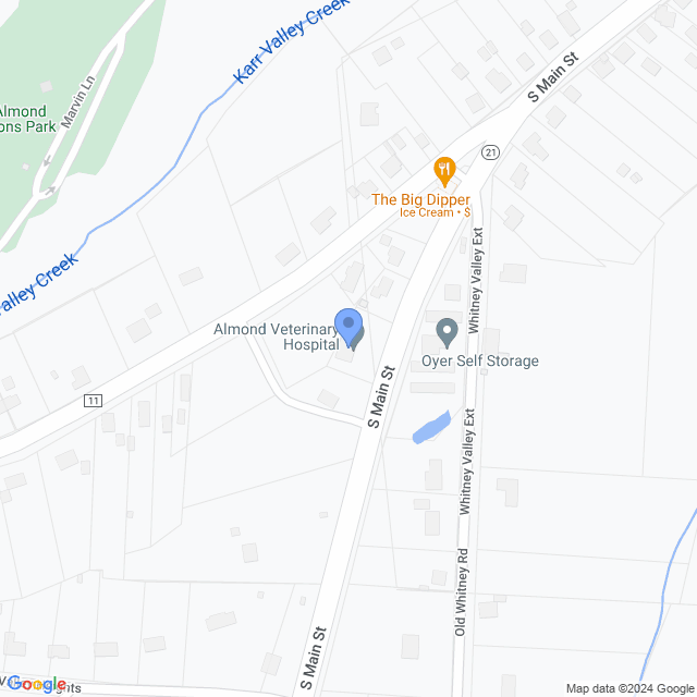 Map of veterinarians in Almond, NY