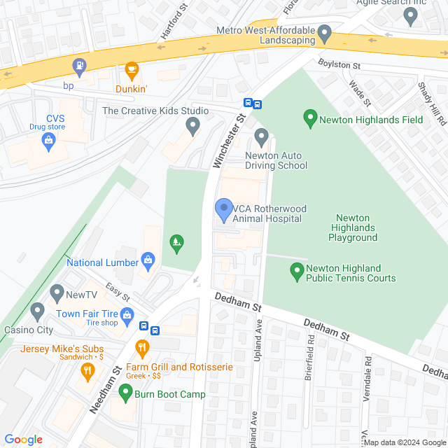 Map of veterinarians in Newton Highlands, MA