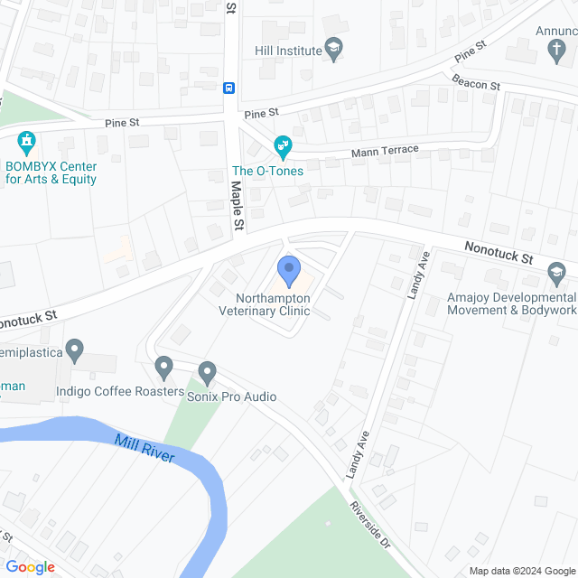 Map of veterinarians in Florence, MA
