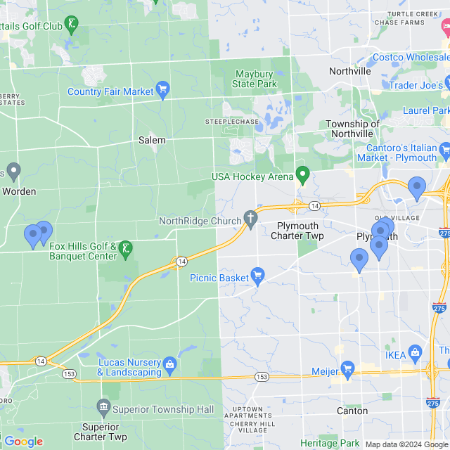 Map of veterinarians in Plymouth, MI