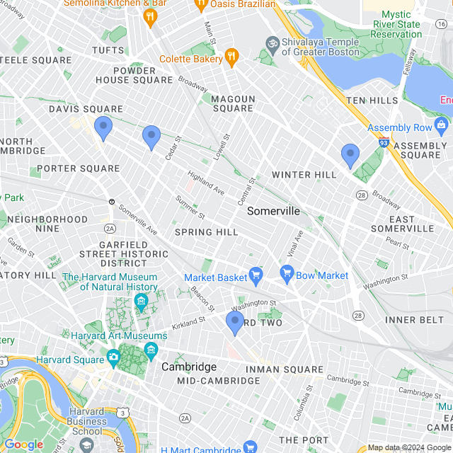 Map of veterinarians in Somerville, MA