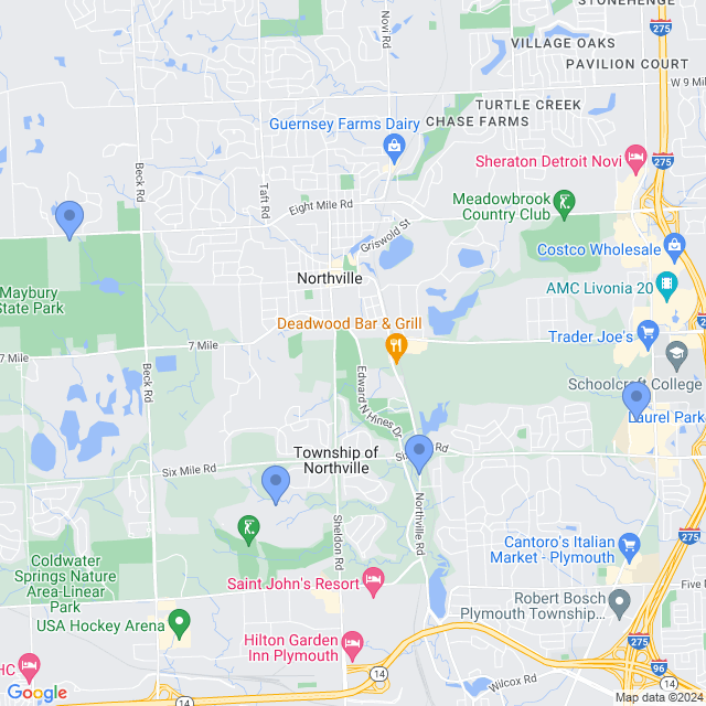 Map of veterinarians in Northville, MI