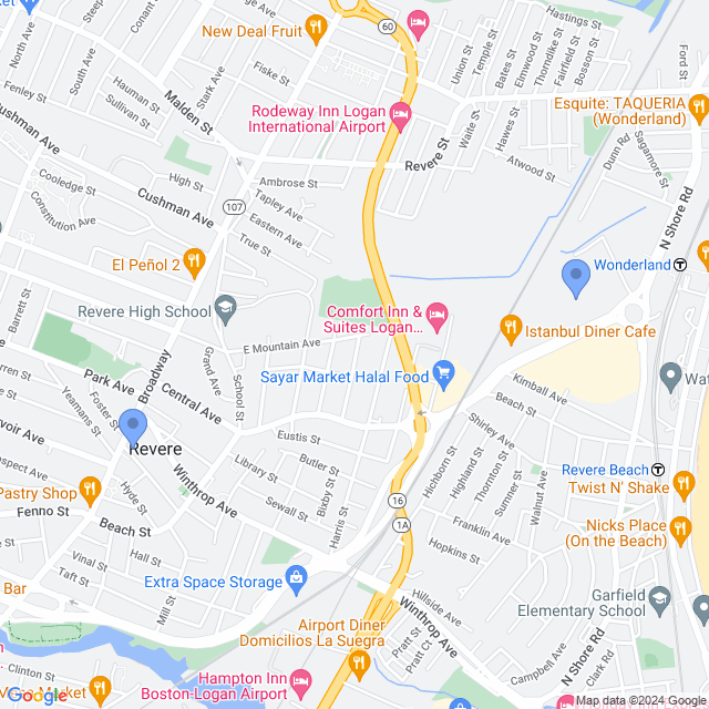 Map of veterinarians in Revere, MA