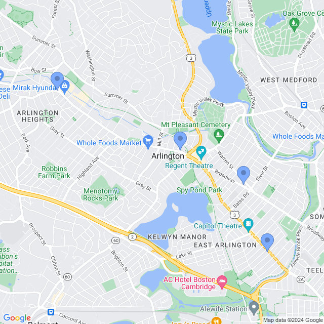 Map of veterinarians in Arlington, MA