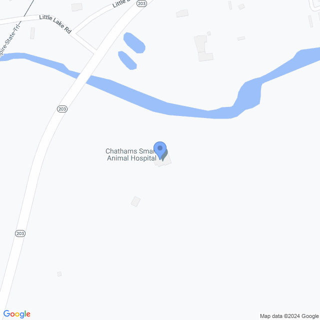 Map of veterinarians in North Chatham, NY