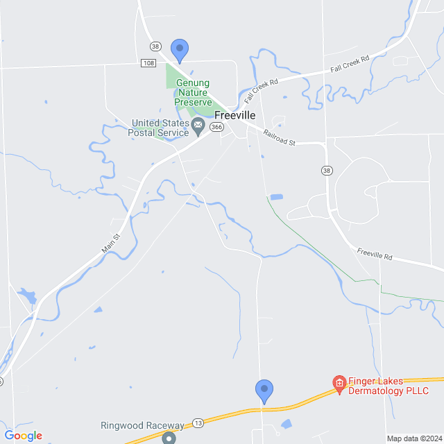 Map of veterinarians in Freeville, NY