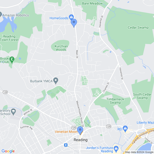 Map of veterinarians in Reading, MA