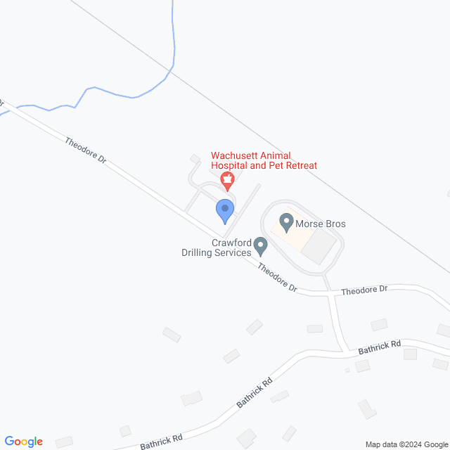 Map of veterinarians in Westminster, MA