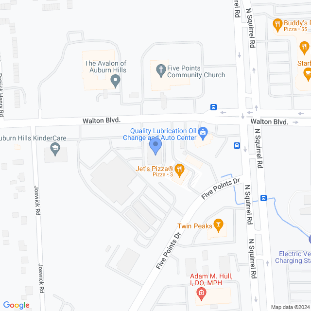 Map of veterinarians in Auburn Hills, MI