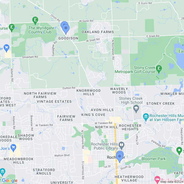 Map of veterinarians in Rochester, MI