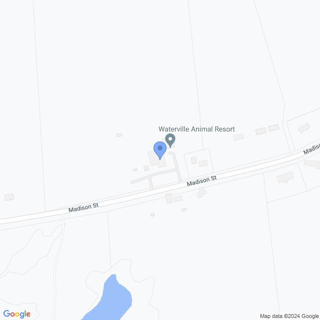 Map of veterinarians in Waterville, NY