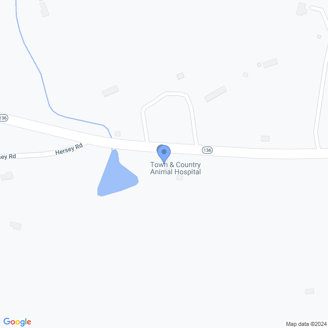 Map of veterinarians in New Boston, NH