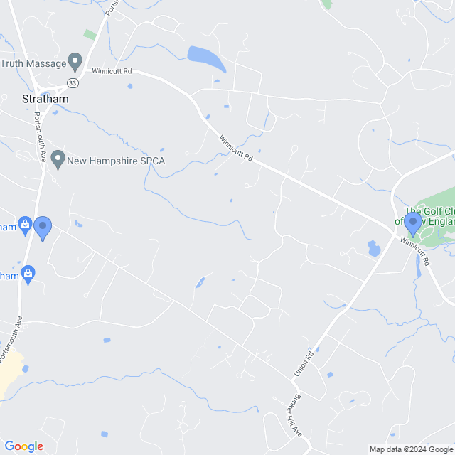 Map of veterinarians in Stratham, NH